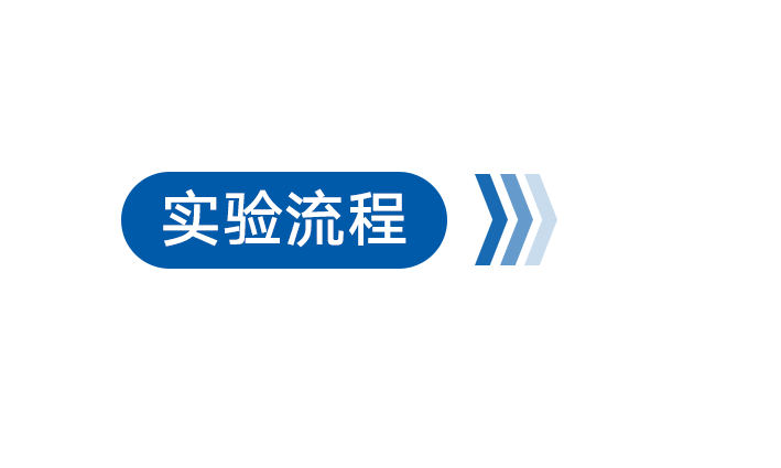 实验流程.png